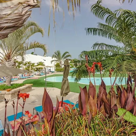 Ocean View Top Floor Spacious One Bedroom Wi-fi Pool * Costa Adeje (Tenerife)