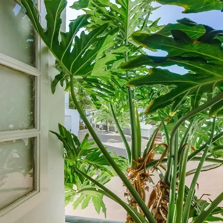 Ocean View Top Floor Spacious One Bedroom Wi-fi Pool *